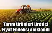 Tarım ürünleri üretici fiyat endeksi (Tarım-ÜFE) yıllık yüzde 27,50 arttı, aylık yüzde 0,45 azaldı