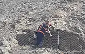 Tellerin arasına sıkışan yaban keçileri kurtarıldı