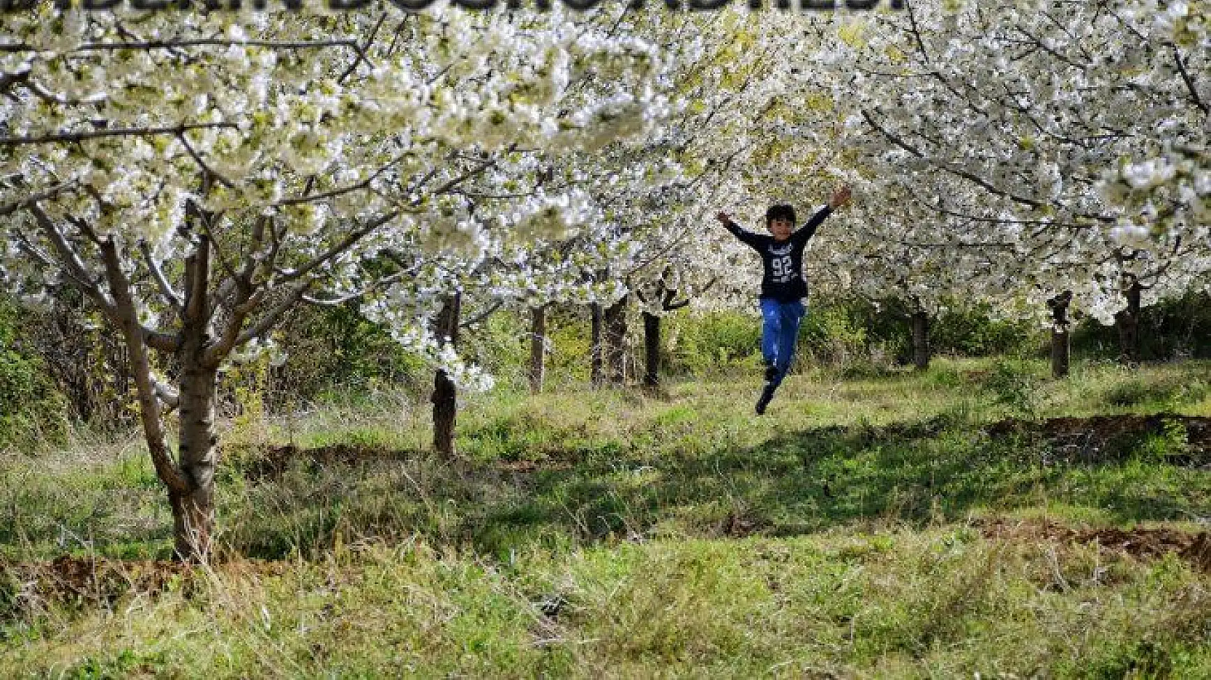 Fotoğraflar ile Yeşilyurt