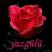Ayşe Yalçın
