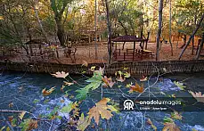 Tohma Kanyonu sonbahar renklerine büründü