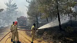 Bakan Yumaklı'dan devam eden orman yangınlarına ilişkin açıklama