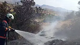 Malatya'da bahçe yangınlarında ağaçlar zarar gördü