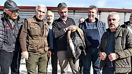 Malatya'da Duyarlı Vatandaşlar Yaralı Kızıl Şahini Kurtardı