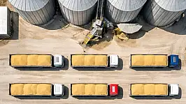 TMO 1,2 milyon ton buğdayı TÜRİB üzerinden satışa sunuyor