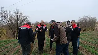 Yarımcahan'da Safran Atağı: Dekarda 900 Gram Başarı