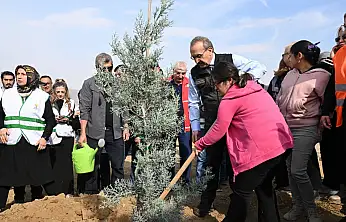 '11 Kasım Milli Ağaçlandırma Günü'nde 2 bin 200 Fidan Toprakla Buluştu