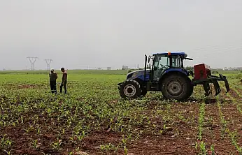 2026 Üretim Yılı İçin Çiftçilere Kritik Tarih: 1 Eylül – 31 Aralık