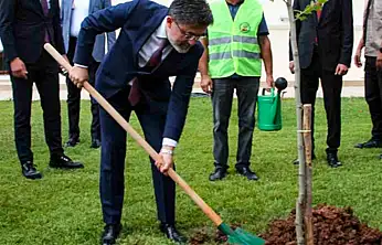 517 Milyon Fidan Toprakla Buluştu