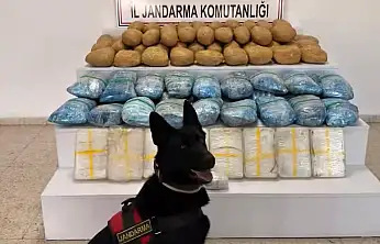 63 İlde Uyuşturucu Operasyonu: 1,3 Ton Madde Ele Geçirildi