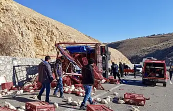 Akçadağ'da Tavuk Yüklü Kamyon Devrildi: Yüzlerce Tavuk Telef Oldu