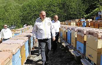 Arıcılık desteklerine yüzde 80 zam: Kovan başına destek 475 TL'ye kadar çıktı