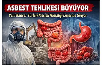 Asbest Sadece Akciğeri Değil, Tüm Vücudu Tehdit Ediyor