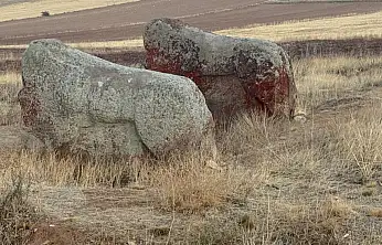 Aslantaşlar Yerinde Kalıyor