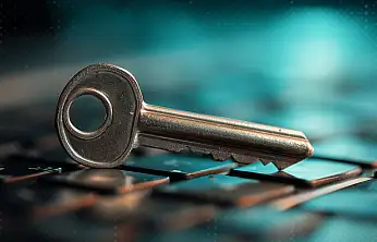 Aynı Parola, Zincirleme Dijital Felaket