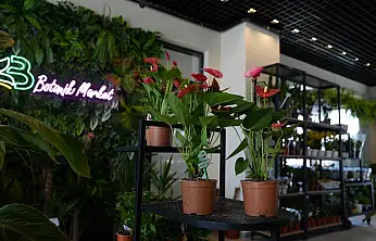 Battalgazi'de Yeşil Alan Atağı Sürüyor