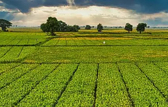 Bir milyar 46 milyon liralık tarımsal destek ödemeleri çiftçinin hesabına yatırılacak