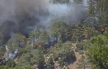 Bolu'da ormanlık alanda yangın çıktı