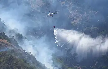 Çanakkale, Edirne ve Hatay'daki orman yangınları kontrol altına alındı