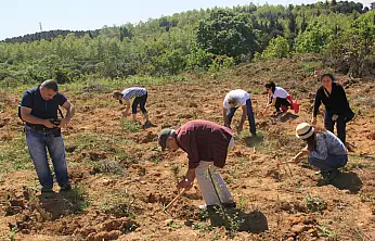 ÇEKÜL'den Doğaya Büyük Katkı: 2025'te 116 Bin Fidan Toprakla Buluştu