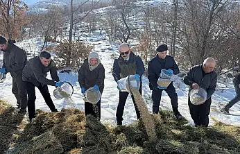 Doğanşehir'de Yaban Hayatı İçin Kış Seferberliği