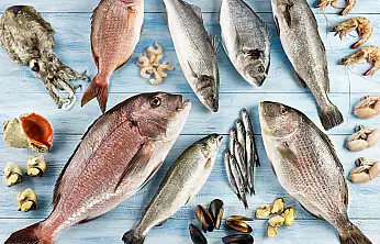 Egeli Su Ürünleri İhracatında Rekor: Ekim Ayında 179 Milyon Dolar