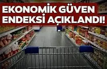 Ekonomik Güven Endeksi Aralık'ta Değişmedi: 99,5