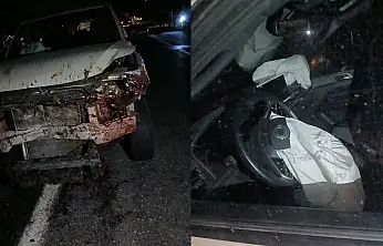 Elazığ Karakoçan'da Kaza: 30 Küçükbaş Hayvan Telef Oldu