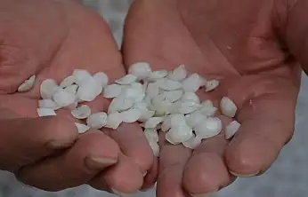 Eşkina Balığı Taşı Mucizesi mi, Yoksa Halk Arasında Yaygın Bir Efsane mi?