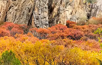 Foto Kültür Kursu ile Malatya'nın Güzellikleri Kadraja Girdi