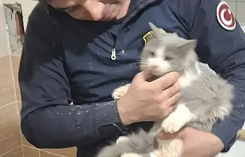Havalandırma Boşluğuna Düşen Kedi, Titiz Operasyonla Kurtarıldı