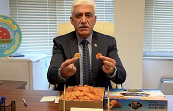 Kaçak Kayısı Alarmı: 'Malatya Kayısısı Diye İran ve Özbekistan Ürünü Satılıyor'