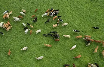 Kapasitesini Güncellemeyen Başvuramayacak