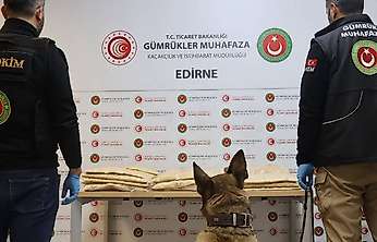 Kapıkule'de Tırdan 50 Kilo 506 Gram Uyuşturucu Çıktı