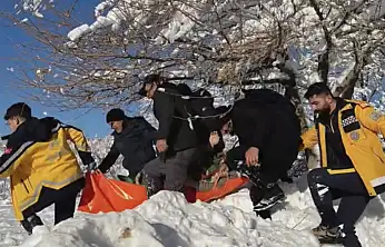 Kar ve Tipiye Rağmen Hayata Ulaşan Eller