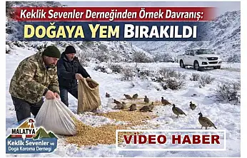 Keklik Sevenler Derneğinden Örnek Davranış: Doğaya Yem Bırakıldı