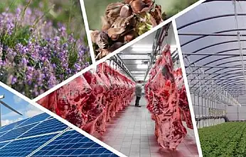 Kırsal Kalkınmada Yeni Dönem: Hibe Oranları %70'e Çıktı