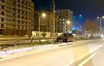 Köpeğe Çarpan Otomobil Kontrolden Çıkıp Refüje Çarptı