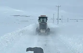 Kubbe Dağı'nda Kar Rekoru: 110 Santimetre