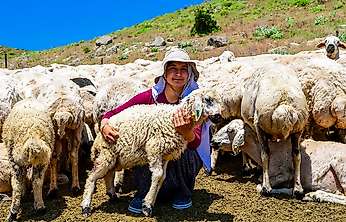 Malatya'da 35 Yıllık Su Çilesi Sona Erdi! Sarıçiçek Yaylası Suya Kavuştu