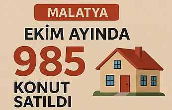 Malatya'da Ekim ayında 985 konut satıldı.