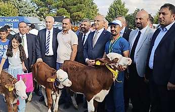 Malatya'da 'En Güzel Buzağı' yarışması düzenlendi