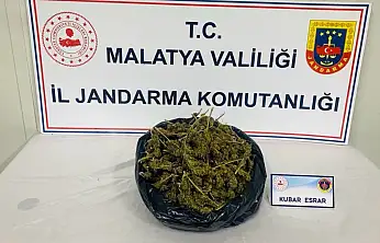 Malatya'da Jandarmadan Uyuşturucu Operasyonu: 1,5 Kilo Esrar Ele Geçirildi