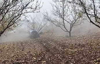 Malatya'da Kayısı Üreticileri Kış Hazırlıklarına Başladı