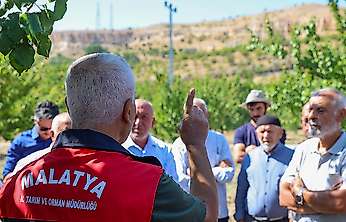 Malatya'da Kayısı Üreticilerine 'Tarla Okulu' Eğitimi