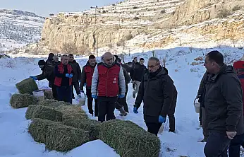 Malatya'da Yaban Hayvanlarına yem Desteği