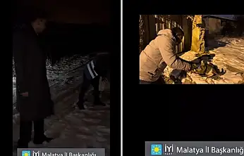 Malatya'da Yürekleri Isıtan Dayanışma: Can Dostlara Şefkat Eli