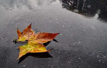 Meteoroloji'den Uyarı Üstüne Uyarı: Yağış, Sis ve Sıcaklık Düşüşü Kapıda