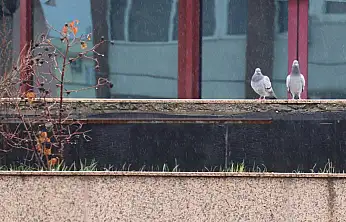 Meteoroloji Uyardı: Çığ, Don ve Kuvvetli Rüzgâr Geliyor