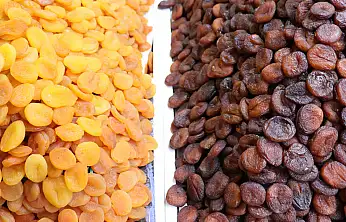 MTB Başkanı Özcan: Zirai dona rağmen ihracat geliri 377 milyon doları aştı